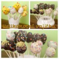 /album/cake-pops/img-2921-1-jpg/